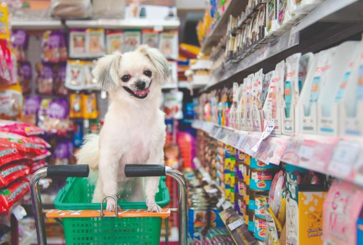 Farmacia & Pet Shop